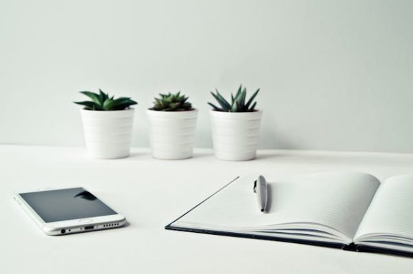 How Keeping It Simple Is the Key for Small-Business Owners